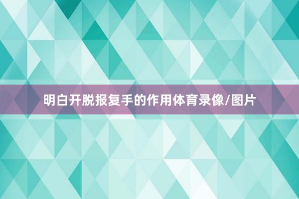 明白开脱报复手的作用体育录像/图片