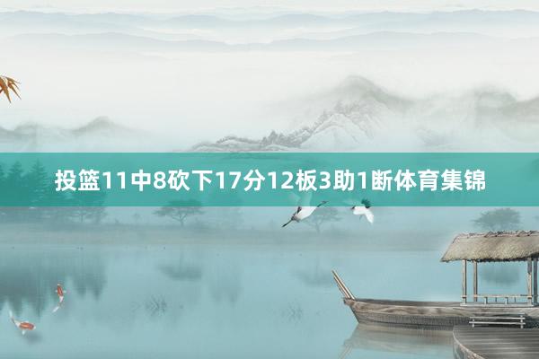 投篮11中8砍下17分12板3助1断体育集锦