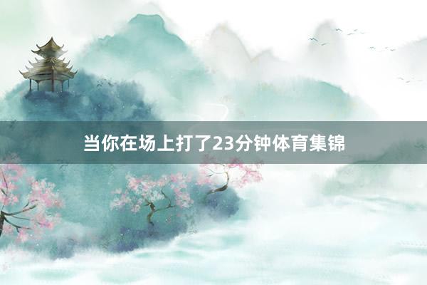 当你在场上打了23分钟体育集锦
