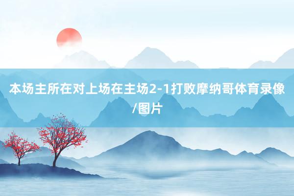 本场主所在对上场在主场2-1打败摩纳哥体育录像/图片