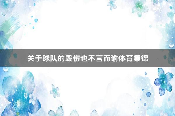 关于球队的毁伤也不言而谕体育集锦