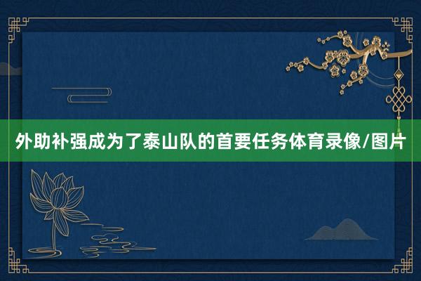 外助补强成为了泰山队的首要任务体育录像/图片