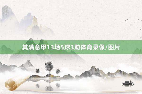其满意甲13场5球3助体育录像/图片