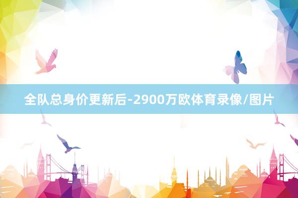 全队总身价更新后-2900万欧体育录像/图片