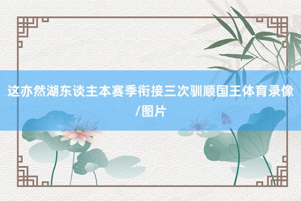 这亦然湖东谈主本赛季衔接三次驯顺国王体育录像/图片