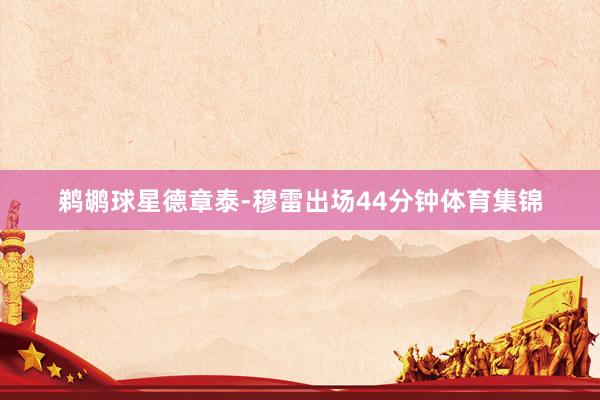 鹈鹕球星德章泰-穆雷出场44分钟体育集锦