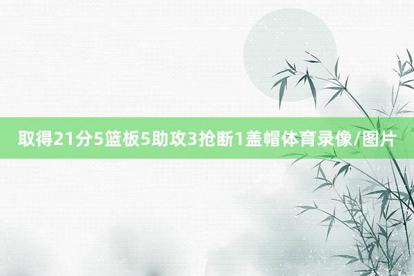 取得21分5篮板5助攻3抢断1盖帽体育录像/图片