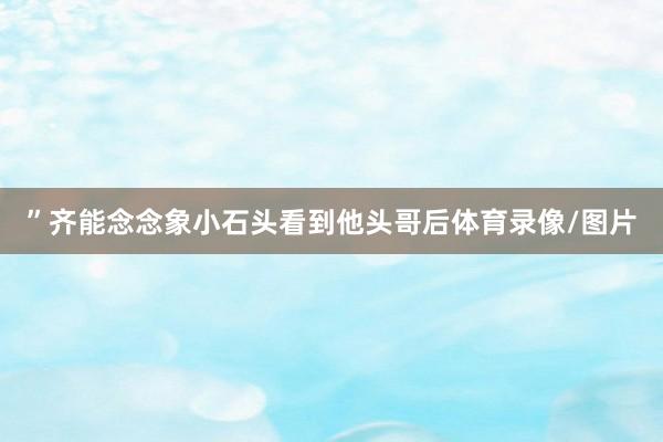 ”齐能念念象小石头看到他头哥后体育录像/图片
