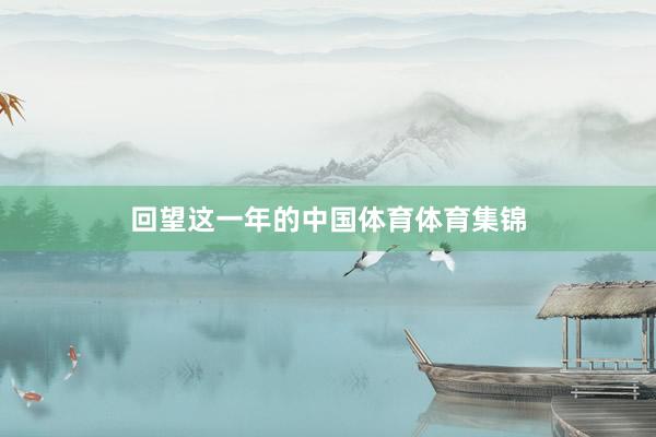 回望这一年的中国体育体育集锦