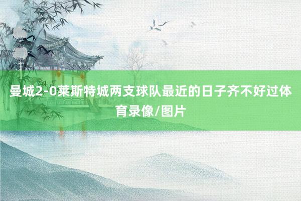 曼城2-0莱斯特城两支球队最近的日子齐不好过体育录像/图片