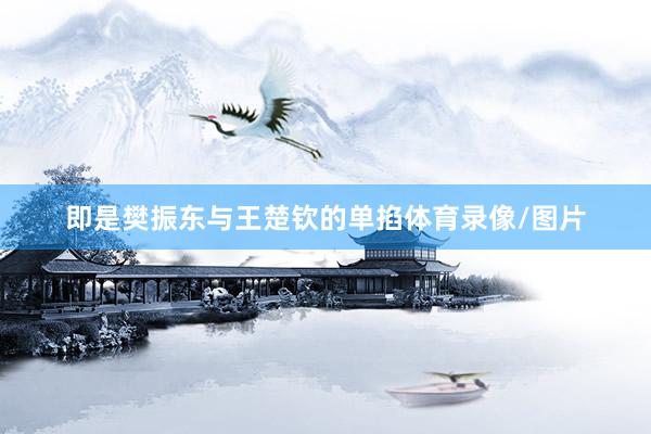 即是樊振东与王楚钦的单掐体育录像/图片