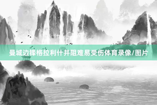 曼城边锋格拉利什并阻难易受伤体育录像/图片