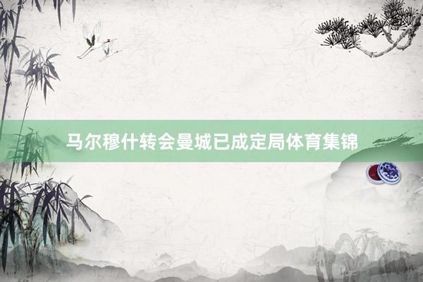 马尔穆什转会曼城已成定局体育集锦
