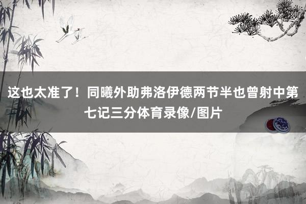 这也太准了！同曦外助弗洛伊德两节半也曾射中第七记三分体育录像/图片