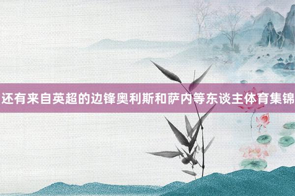 还有来自英超的边锋奥利斯和萨内等东谈主体育集锦