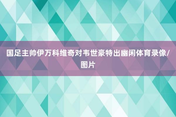 国足主帅伊万科维奇对韦世豪特出幽闲体育录像/图片