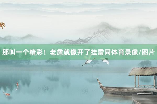 那叫一个精彩！老詹就像开了挂雷同体育录像/图片