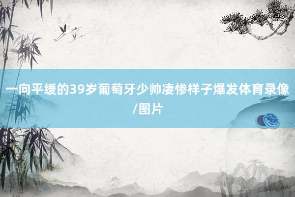 一向平缓的39岁葡萄牙少帅凄惨样子爆发体育录像/图片