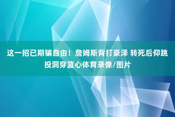 这一招已期骗自由！詹姆斯背打豪泽 转死后仰跳投洞穿篮心体育录像/图片