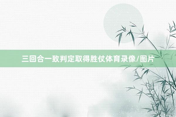 三回合一致判定取得胜仗体育录像/图片