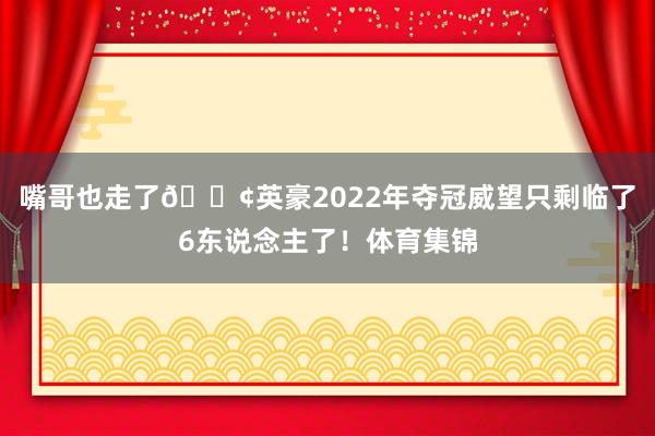 嘴哥也走了😢英豪2022年夺冠威望只剩临了6东说念主了！体育集锦