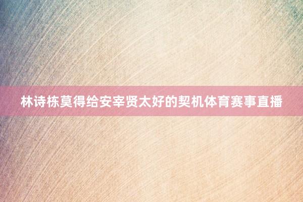 林诗栋莫得给安宰贤太好的契机体育赛事直播