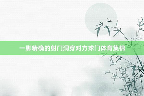 一脚精确的射门洞穿对方球门体育集锦
