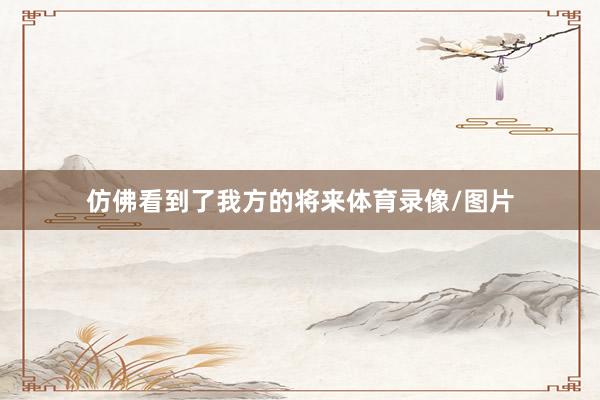 仿佛看到了我方的将来体育录像/图片