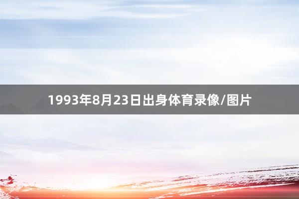 1993年8月23日出身体育录像/图片