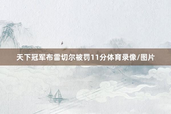 天下冠军布雷切尔被罚11分体育录像/图片