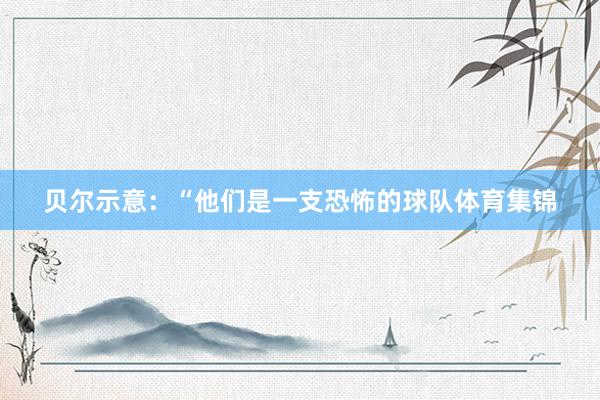 贝尔示意：“他们是一支恐怖的球队体育集锦