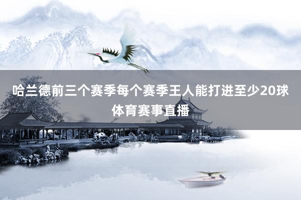 哈兰德前三个赛季每个赛季王人能打进至少20球体育赛事直播