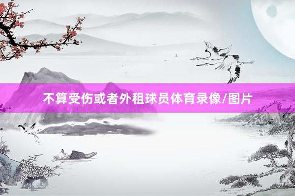 不算受伤或者外租球员体育录像/图片