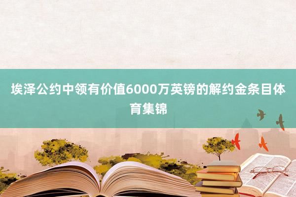 埃泽公约中领有价值6000万英镑的解约金条目体育集锦