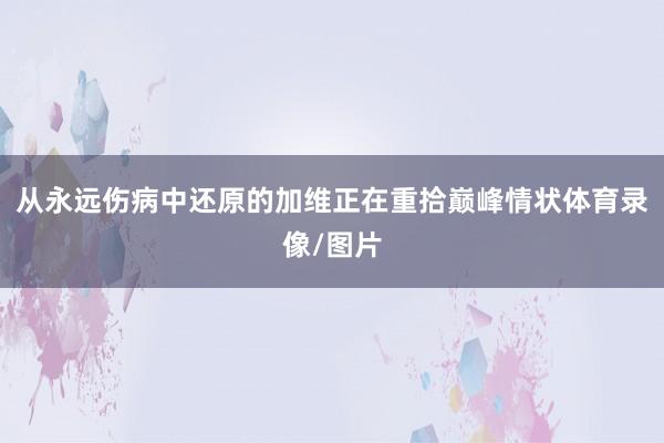 从永远伤病中还原的加维正在重拾巅峰情状体育录像/图片