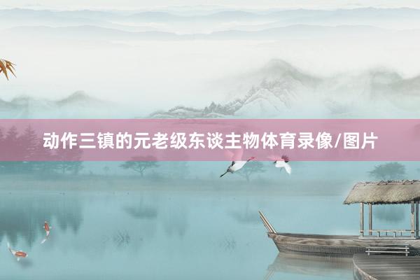 动作三镇的元老级东谈主物体育录像/图片