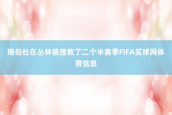 锡伯杜在丛林狼捏教了二个半赛季FIFA买球网体育信息