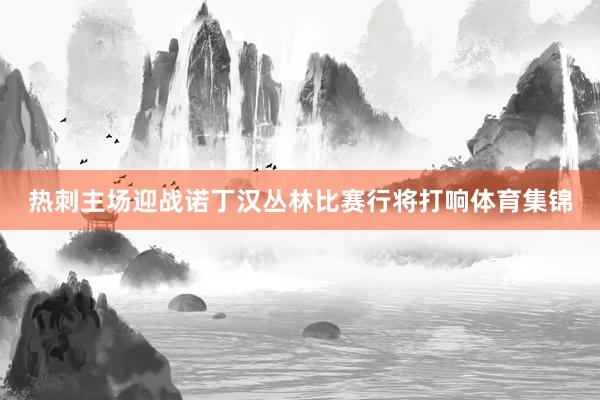 热刺主场迎战诺丁汉丛林比赛行将打响体育集锦