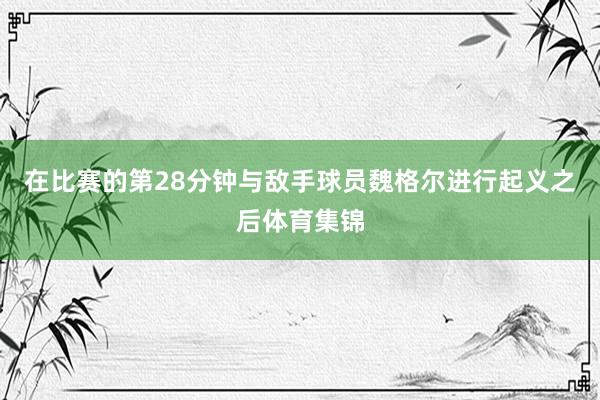 在比赛的第28分钟与敌手球员魏格尔进行起义之后体育集锦
