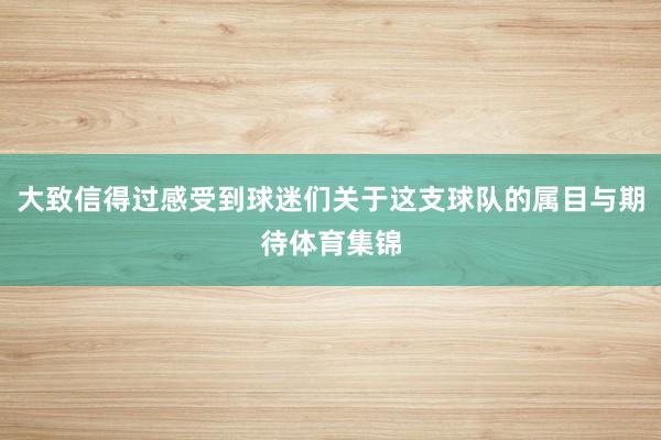 大致信得过感受到球迷们关于这支球队的属目与期待体育集锦