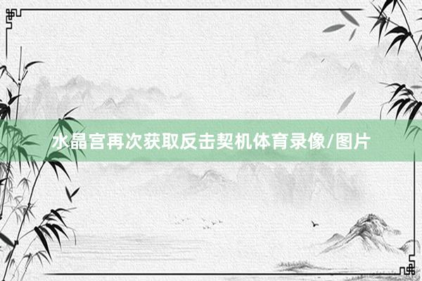 水晶宫再次获取反击契机体育录像/图片