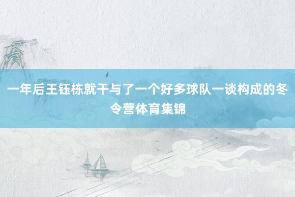 一年后王钰栋就干与了一个好多球队一谈构成的冬令营体育集锦