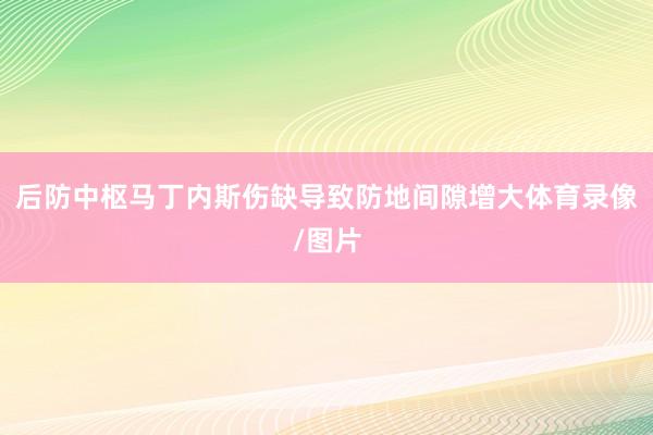 后防中枢马丁内斯伤缺导致防地间隙增大体育录像/图片