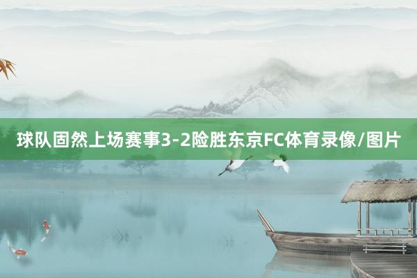 球队固然上场赛事3-2险胜东京FC体育录像/图片
