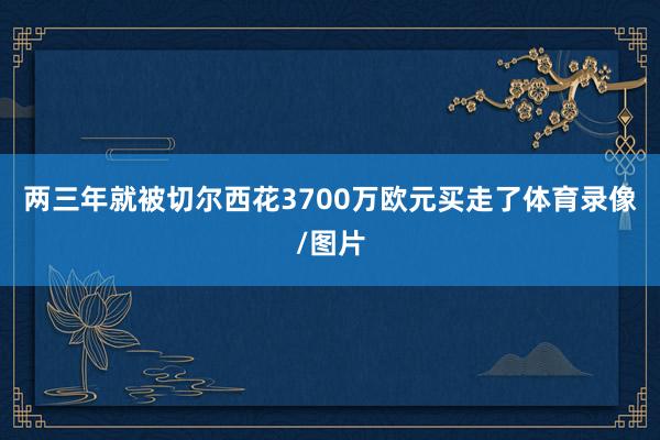 两三年就被切尔西花3700万欧元买走了体育录像/图片