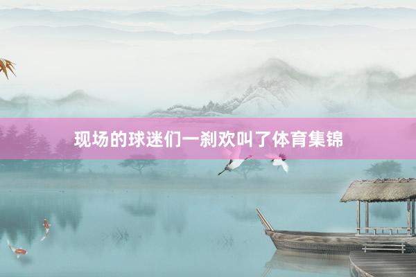 现场的球迷们一刹欢叫了体育集锦