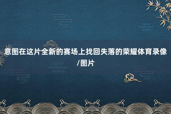 意图在这片全新的赛场上找回失落的荣耀体育录像/图片
