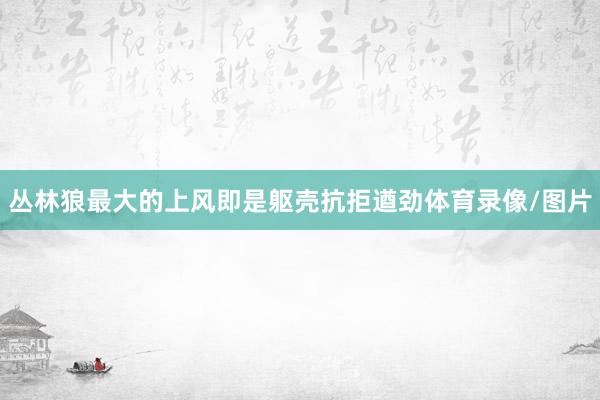 丛林狼最大的上风即是躯壳抗拒遒劲体育录像/图片