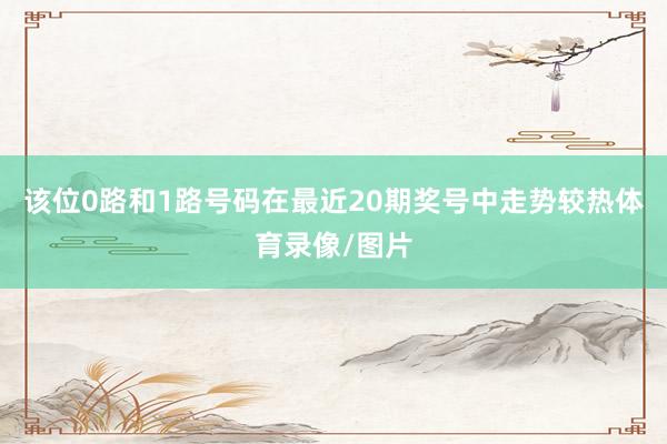 该位0路和1路号码在最近20期奖号中走势较热体育录像/图片
