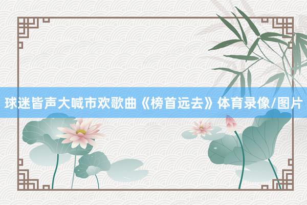 球迷皆声大喊市欢歌曲《榜首远去》体育录像/图片